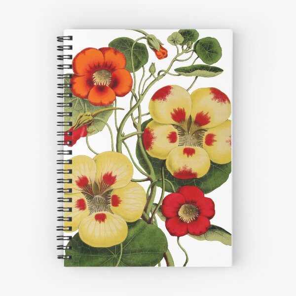 Item preview, Vintage Flower Illustration designed and sold by florafaunaartco.