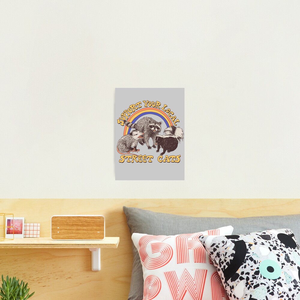 Street Cats Photographic Print