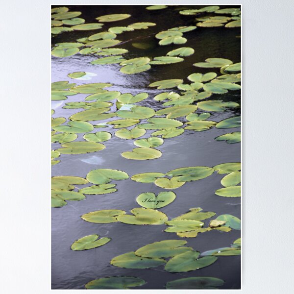 Item preview, Water Lily Love designed and sold by simpsonvisuals.