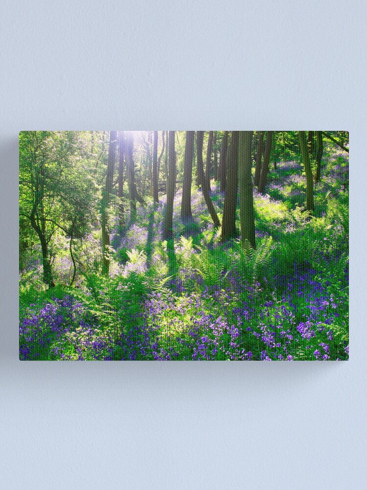 Alternate view of Bluebell Woods Canvas Print