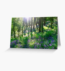 Bluebell Woods Greeting Card