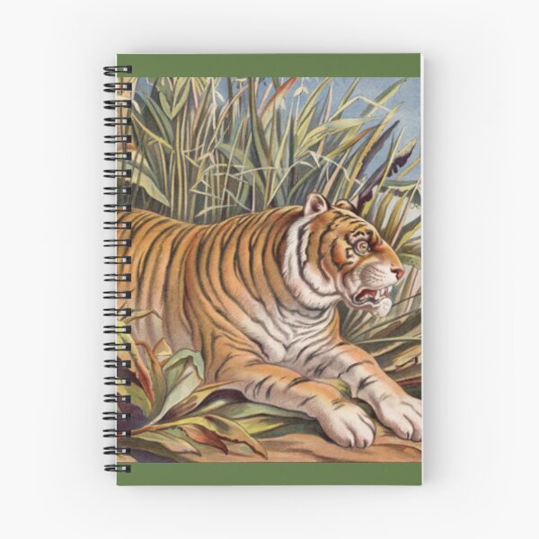 Aperçu de l'œuvre Photo de tigre vintage créée et vendue par dorcas13.