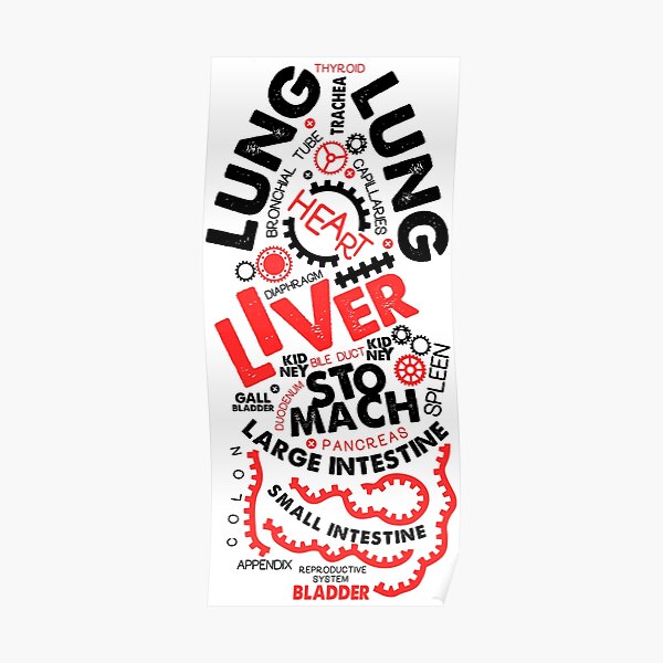 Internal Organs Typographic Artwork. Poster