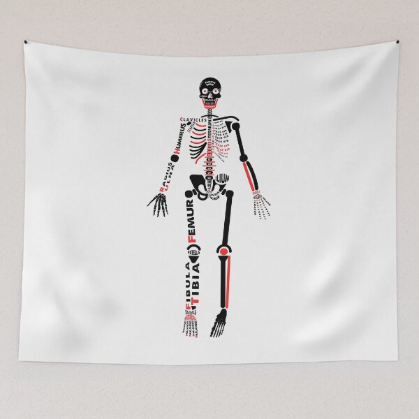 Item preview, Skeletal System Poster.  designed and sold by Moloko88.