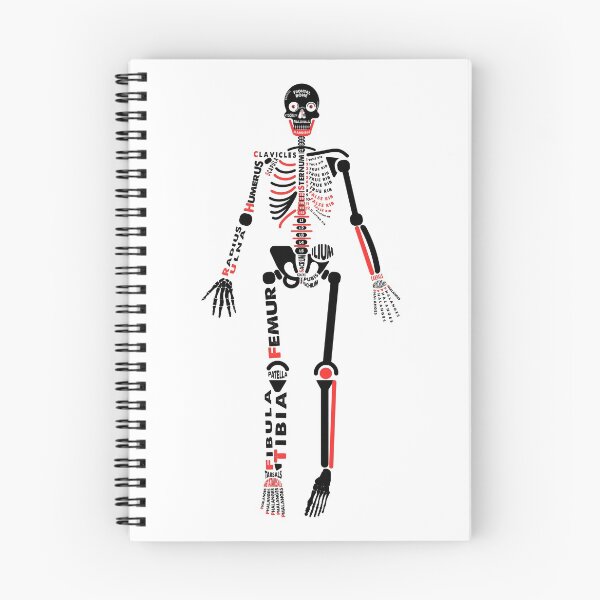 Item preview, Skeletal System Poster.  designed and sold by Moloko88.