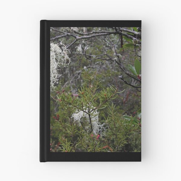 Item preview, Unique Plants at Cradle Mountain, Tasmania, Australia. designed and sold by kaysharp.