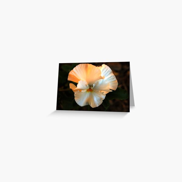 Flower I Greeting Card