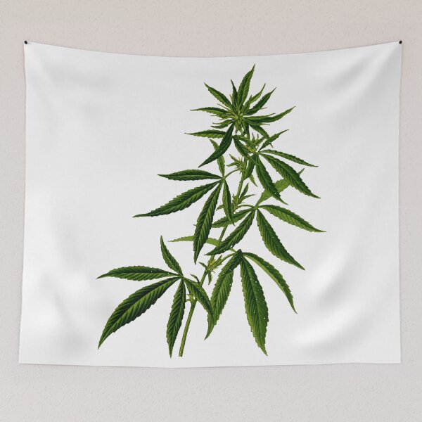 Item preview, Cannabis plant designed and sold by emphatic.