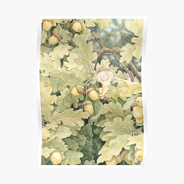 Oak tree Poster