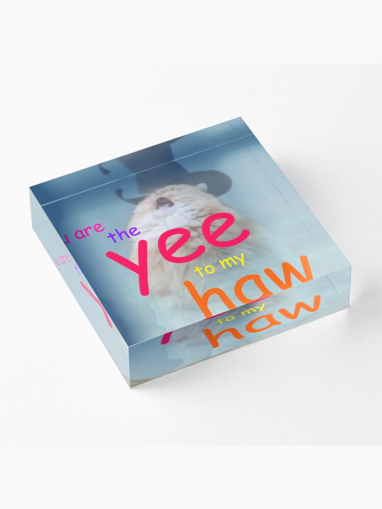 Alternate view of the yee to my haw Acrylic Block