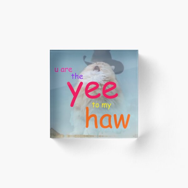the yee to my haw Acrylic Block