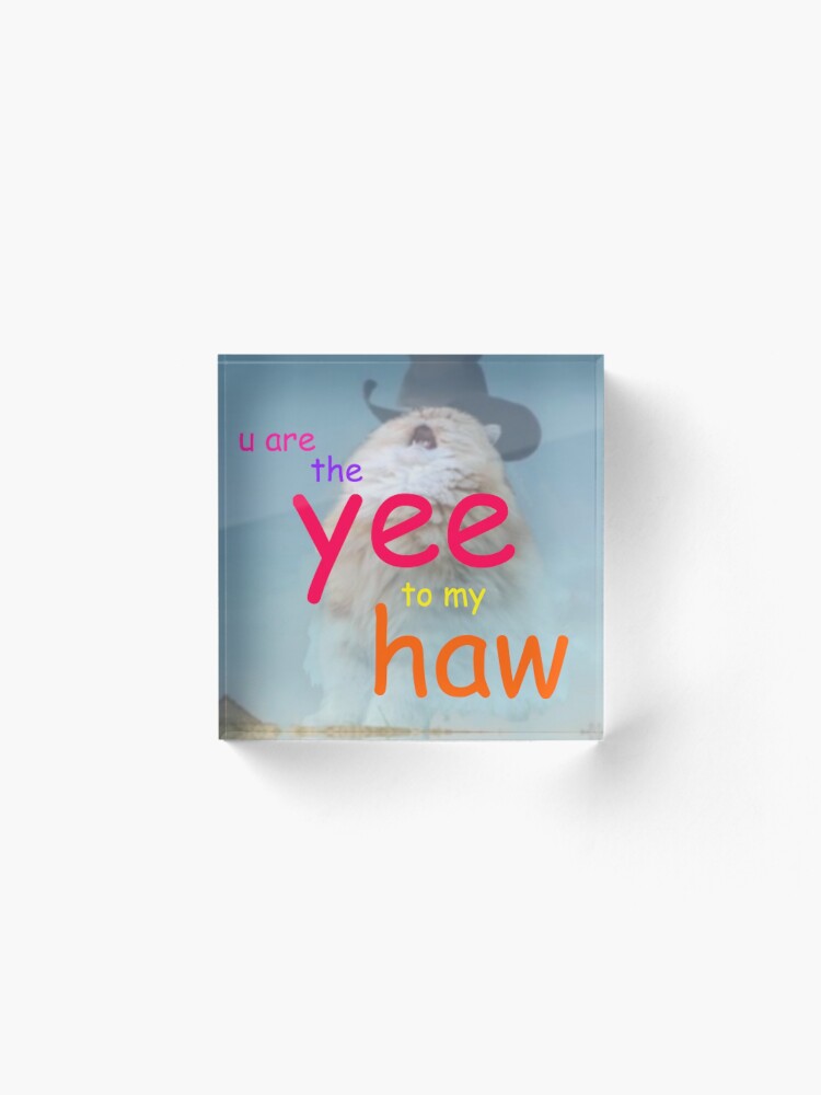 Alternate view of the yee to my haw Acrylic Block