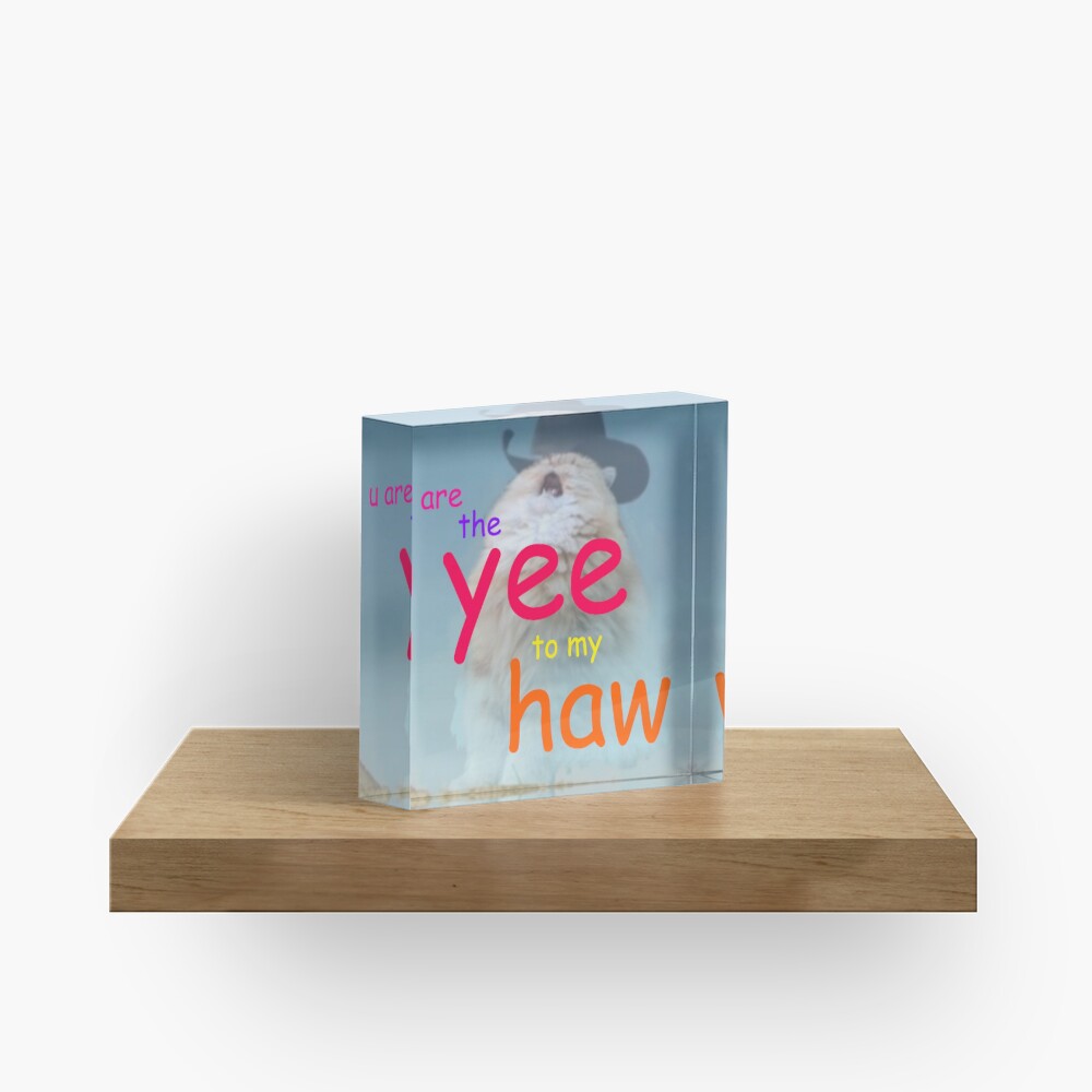 the yee to my haw Acrylic Block