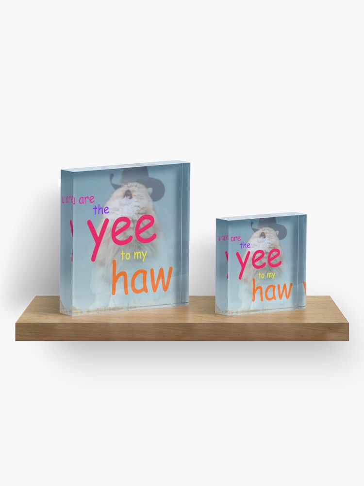 Alternate view of the yee to my haw Acrylic Block