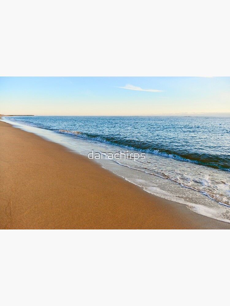 Plum Island Shore by danachirps