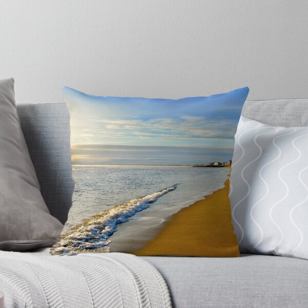 Artikelvorschau, Plum Island Beach entworfen und verkauft von danachirps.
