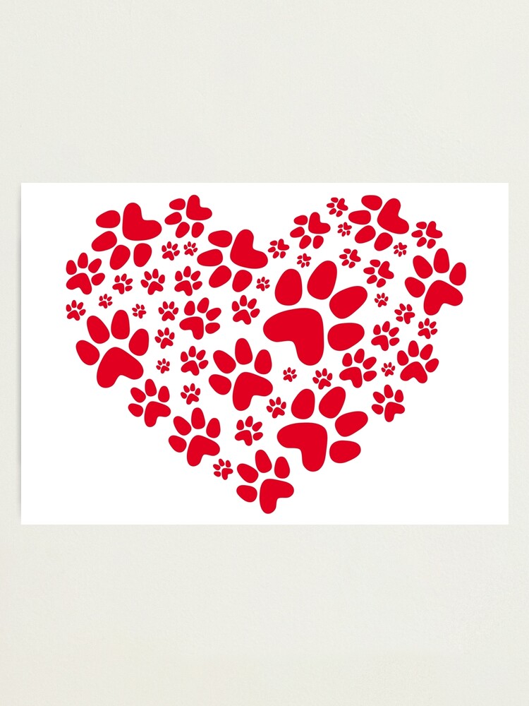 red paw prints heart photographic print by beakraus redbubble
