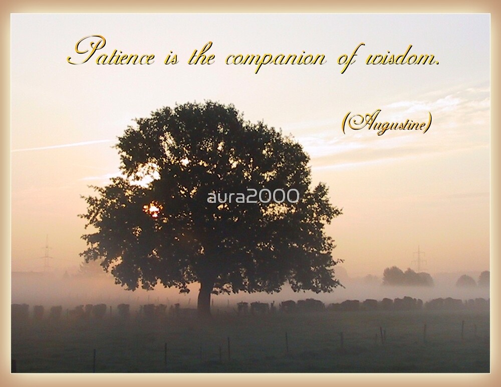 "Patience is the Companion of Wisdom" by aura2000 | Redbubble