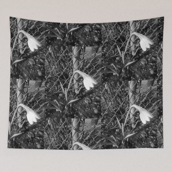 Item preview, daffodil fence bw 03/16/19 designed and sold by Shellaqua.