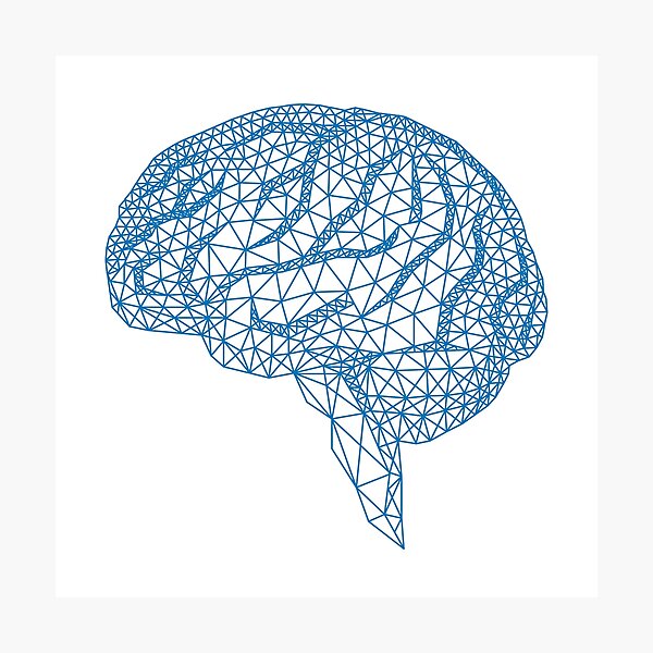 cerebro humano real etiquetado