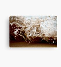 Splash II (the splash series) Canvas Print