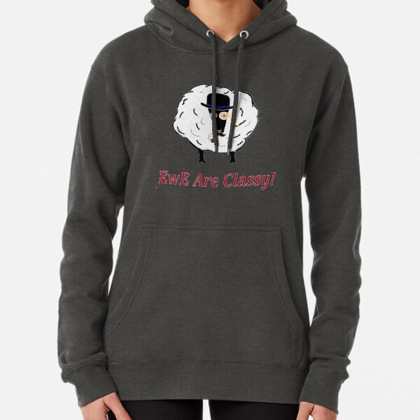 EwE are Classy! Pullover Hoodie