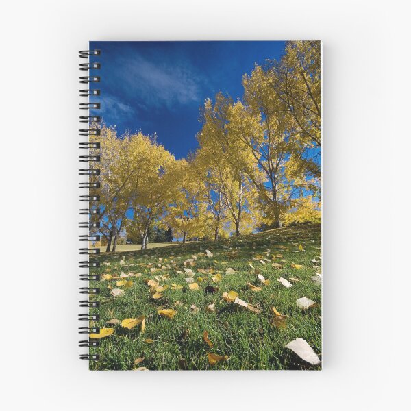 Item preview, Confederation Park - Calgary designed and sold by John-Frum.