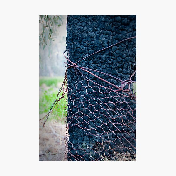 Item preview, Black Stump designed and sold by CRPH.