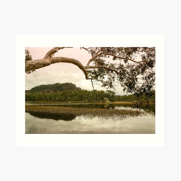 Dunns Swamp, Cudgegong River, Wollemi National Park, NSW Art Print