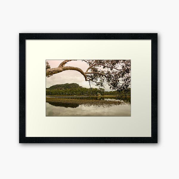 Dunns Swamp, Cudgegong River, Wollemi National Park, NSW Framed Art Print