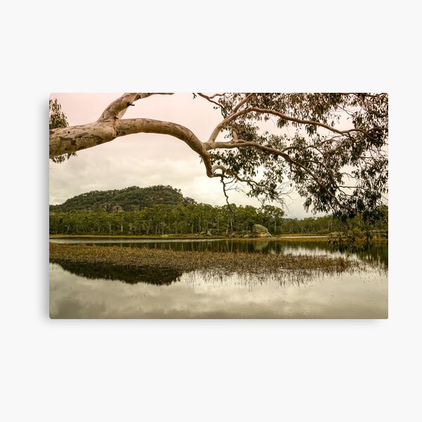 Dunns Swamp, Cudgegong River, Wollemi National Park, NSW Canvas Print