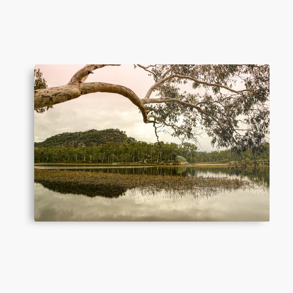 Dunns Swamp, Cudgegong River, Wollemi National Park, NSW Metal Print