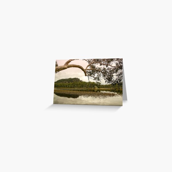 Dunns Swamp, Cudgegong River, Wollemi National Park, NSW Greeting Card