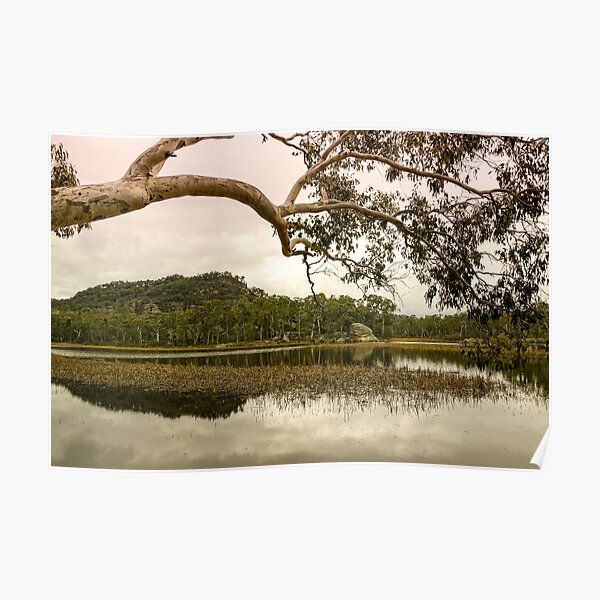 Dunns Swamp, Cudgegong River, Wollemi National Park, NSW Poster