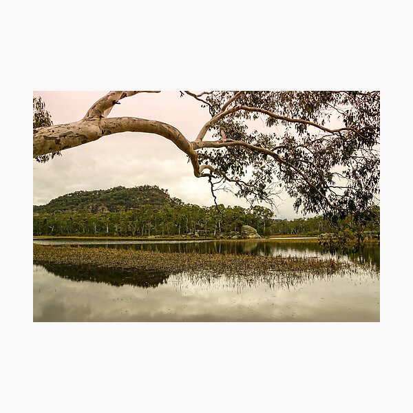 Dunns Swamp, Cudgegong River, Wollemi National Park, NSW Photographic Print