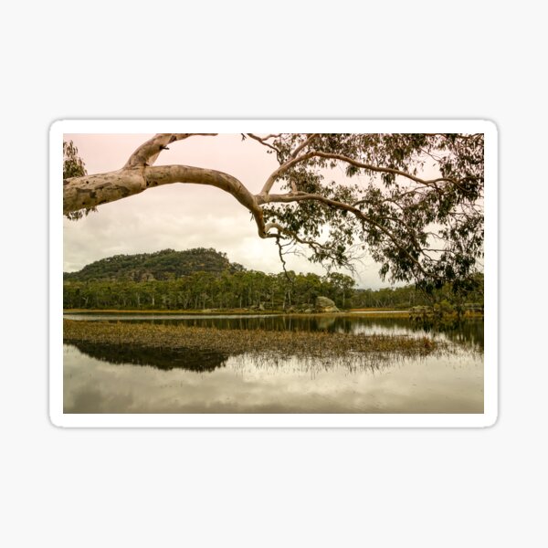 Dunns Swamp, Cudgegong River, Wollemi National Park, NSW Sticker