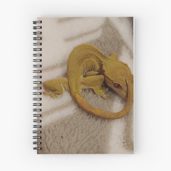 Item preview, Charmander sleeping designed and sold by Alan Brazzel.