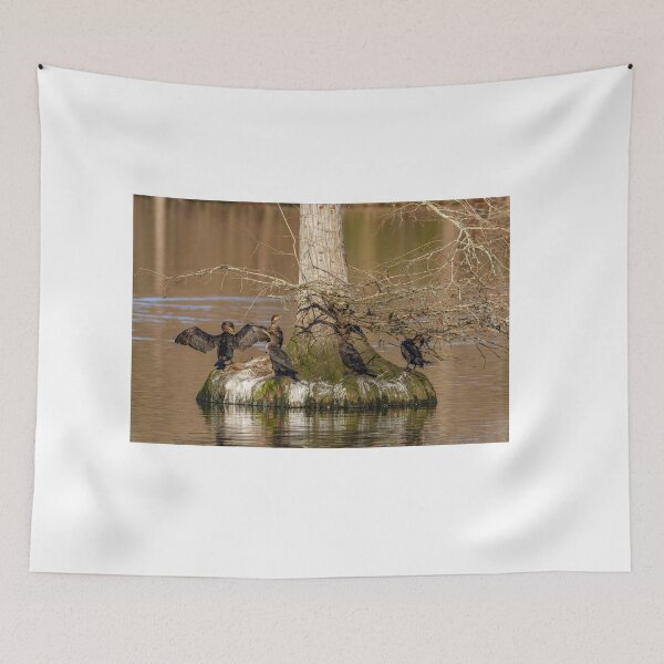 Item preview, Pea Island National Wildlife park designed and sold by BiceksPhoto.