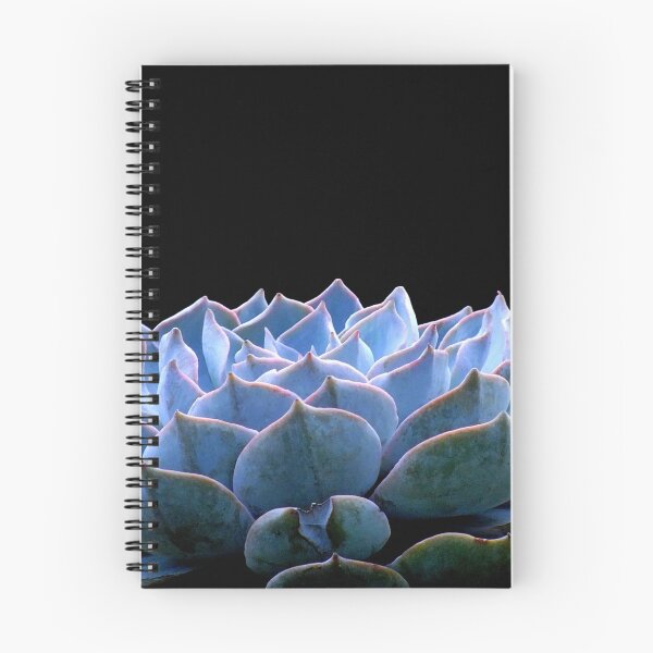 Item preview, Echeveria Morning Beauty designed and sold by Gabrielle  Lees.