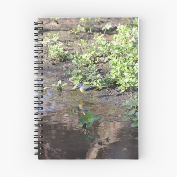 Item preview, Grey Wagtail designed and sold by Malcolm Snook.