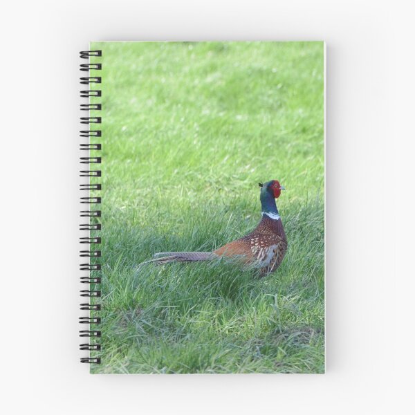 Item preview, Pheasant designed and sold by Malcolm Snook.