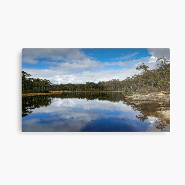 Dunns Swamp, Cudgegong River, Wollemi National Park, NSW Metal Print