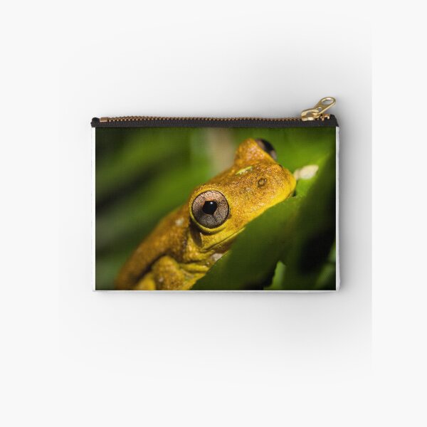 Item preview, Peron's tree frog designed and sold by Connie Pinson.