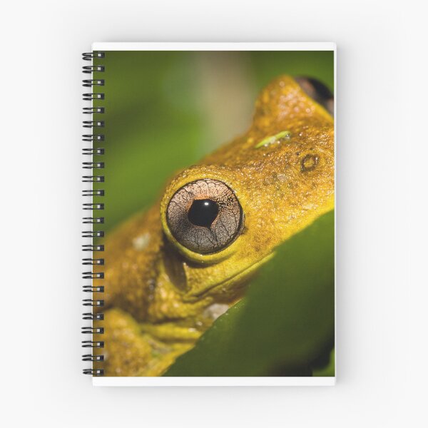 Item preview, Peron's tree frog designed and sold by Connie Pinson.