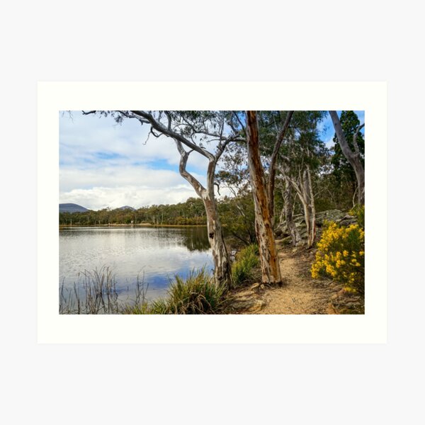 Dunns Swamp, Cudgegong River, Wollemi National Park Art Print