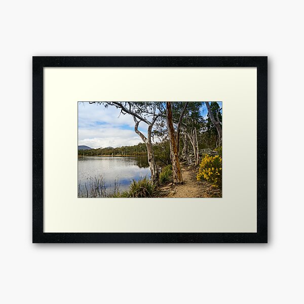 Dunns Swamp, Cudgegong River, Wollemi National Park Framed Art Print