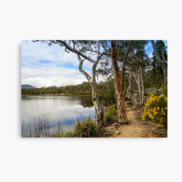 Dunns Swamp, Cudgegong River, Wollemi National Park Canvas Print