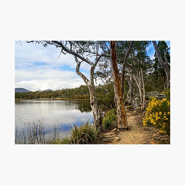 Dunns Swamp, Cudgegong River, Wollemi National Park Photographic Print