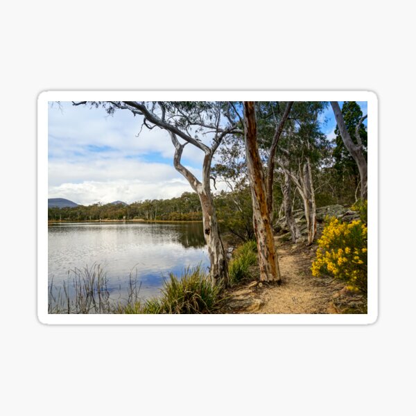 Dunns Swamp, Cudgegong River, Wollemi National Park Sticker