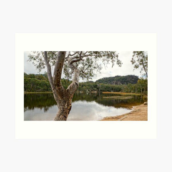 Dunns Swamp, Cudgegong River, Wollemi National Park, NSW Art Print